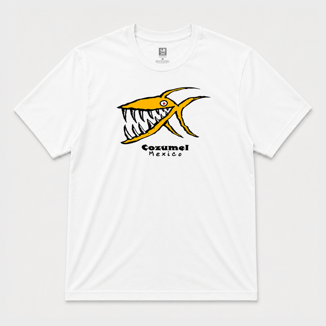 Cozumel Mexico  Graphic T shirt